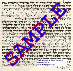 Picture of Exquisite Ashkenaz Mezuzah Parchment Scroll Ashkenazic 15cm Beis Yosef by Rabbi Ehrenfeld